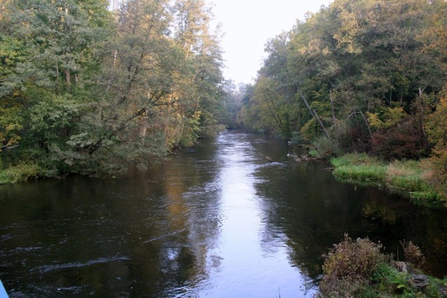 Widok z betonowego mostu w Świcie na Brdę w kierunku p&oacute;łnocnym. Po prawej stronie ujście Rudy. fot. R. Grzeszczyk