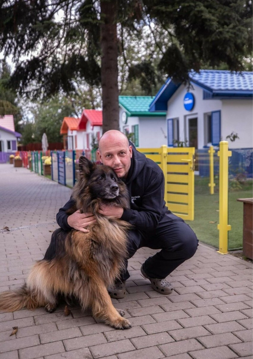 W Przemyślu rusza pierwsza na Podkarpaciu szkoła dla psów