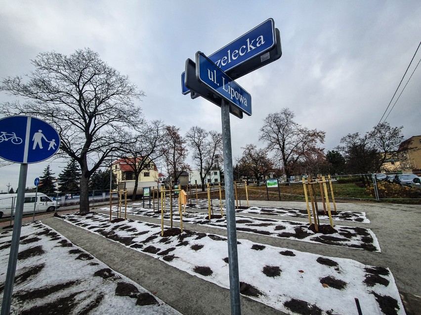 Wodna ścieżka edukacyjna na Lipowej w Lesznie już prawie gotowa