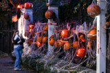 Kraków. W Bazylice Bożego Ciała będą przepraszać za... Halloween