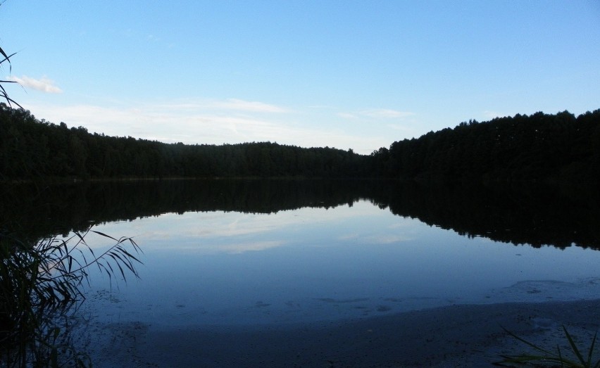 Leśne Ustronie
Pole namiotowe z miejscem dla camperów nad...