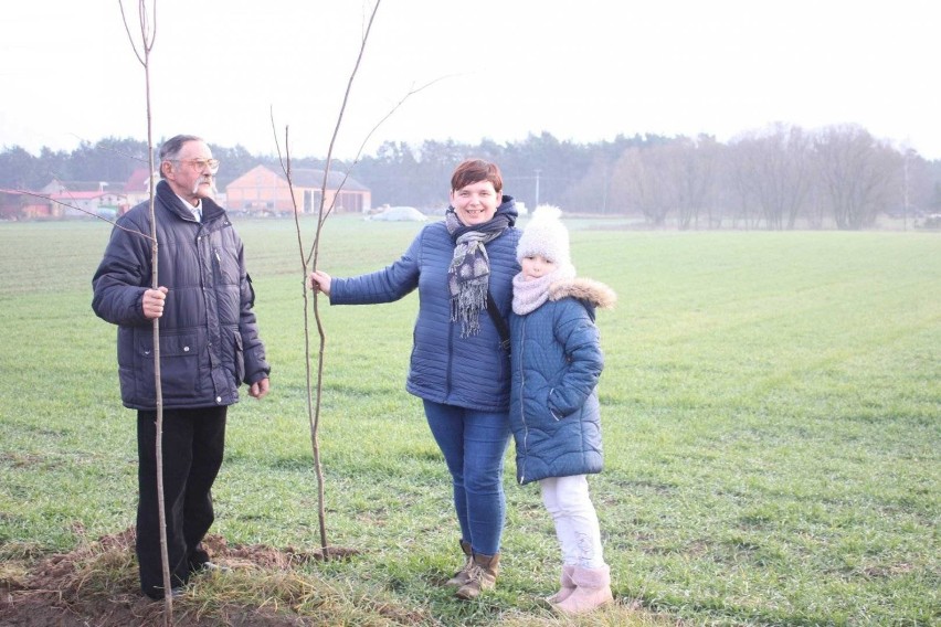 W gminie Książ Wlkp. posadzili niemal 200 drzewek...