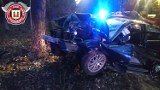 Gmina Przedbórz. Wypadek na DK 42 w Wygwizdowie, kierujący bmw uderzył w drzewo 
