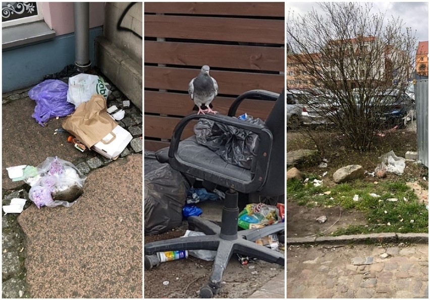 Śmieci na Podzamczu w Szczecinie