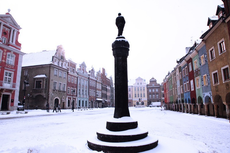 Zobacz jak wygląda zaśnieżony Poznań [ZDJĘCIA]