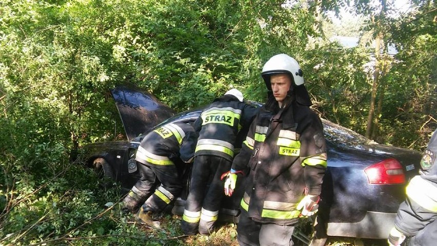 Wypadek na drodze Włocławek - Kowal. Kierowca audi musiał uciekać przed łosiem i uderzył w drzewo [wideo]