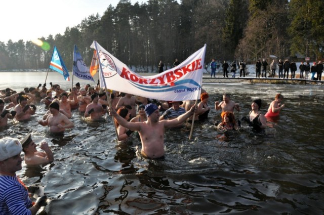 Kąpiel morsów w Korzybiu