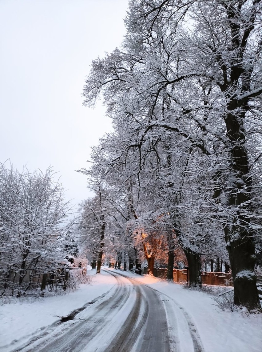 Zima w Sycowie okiem naszych czytelników. Zobacz zdjęcia!