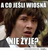 Oto najlepsze MEMY o wiośnie. Deszcz i wiatr. Internauci tracą cierpliwość i pytają... Gdzie ta wiosna? Zobacz memy