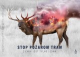 Pruszcz Gdański. Stop pożarom traw! Mocna kampania straży pożarnej skierowana do mieszkańców | ZDJĘCIA