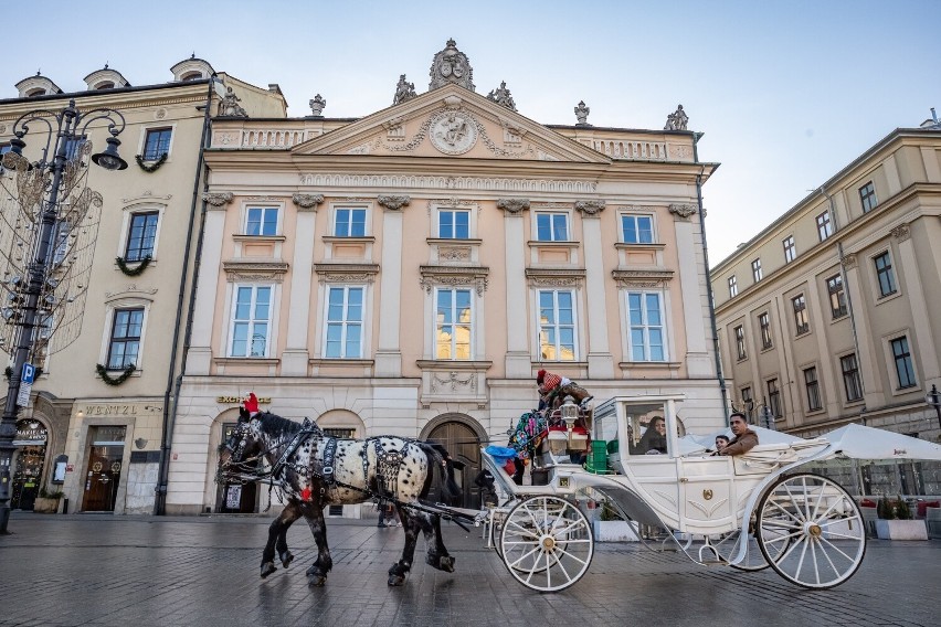 Urzędnicy jak magnaci, zadomowili się w pałacu przy Rynku. Jest tam też mieszkanie rezydencjalne. Kraków płaci za to ponad 1 mln zł ZDJĘCIA 