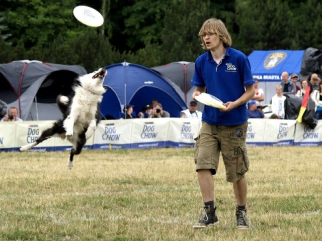 Już w piątek rozpocznie się czwarta kwalifikacja Dog Chow Disc ...