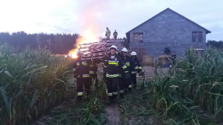 Wieli pożar słomy w miejscowości Przystajnia Folwark w gminie Brzeziny. ZDJĘCIA
