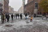 Pierwszy śnieg w Toruniu. Zrobiło się biało i ślisko. Zobacz zdjęcia!