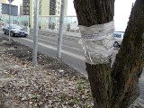 Plakaty i ulotki zaśmiecają nasze miasto