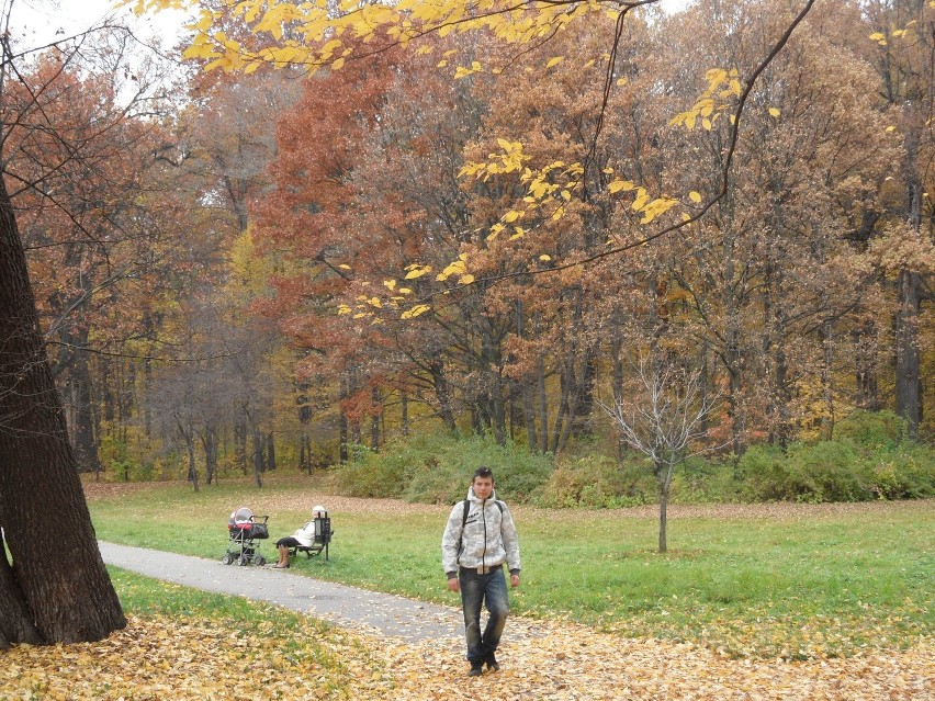 Park w Pszczynie jesienią jest złoty