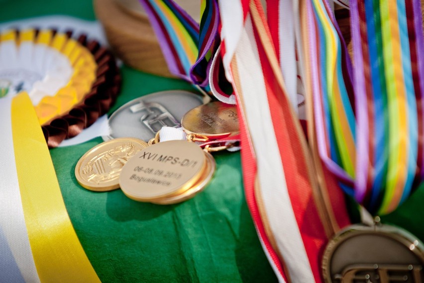 Bartłomiej Kwiatek powożąc ślązakiem z Książa wywalczył medal Mistrzostw Polski Młodych Koni