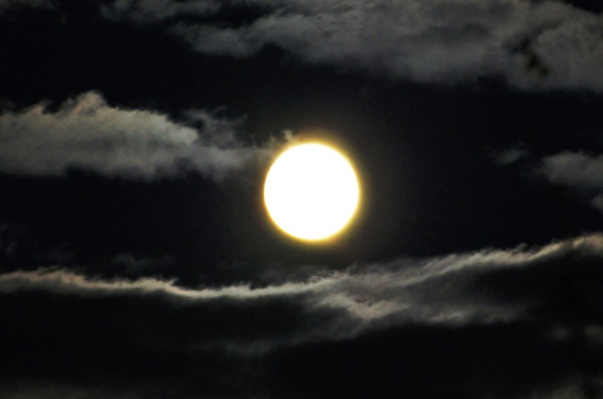 Największa pełnia księżyca od połowy XX wieku [zdjęcia]