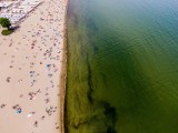 Sinice nad morzem i w jeziorach na Pomorzu. Zamknięte kąpieliska 24.08.2020 r. Zobaczcie zdjęcia plaż z drona! Tak wygląda zakwit sinic!