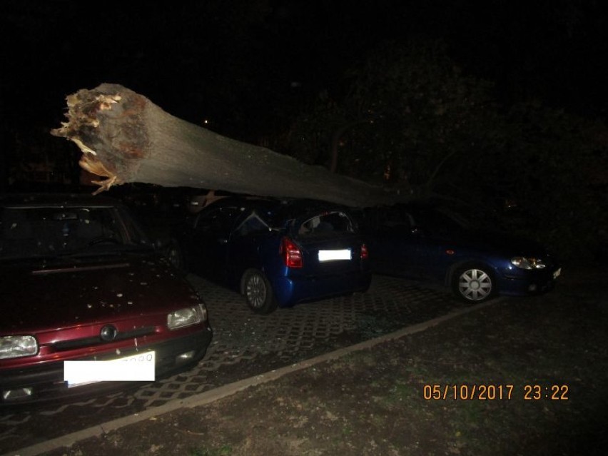 Orkan Ksawery w Katowicach. Powalone drzewa, ludzie bez prądu, uszkodzone samochody [ZDJĘCIA]