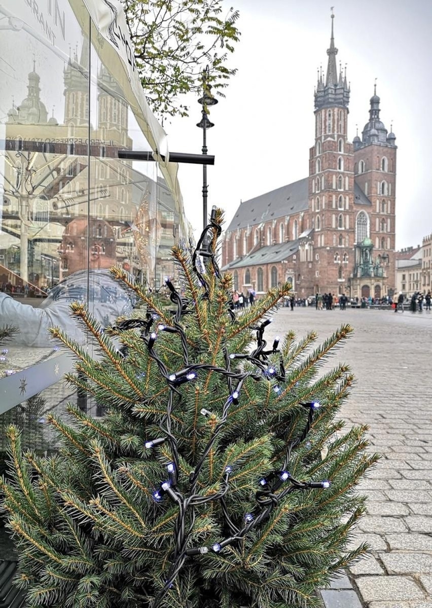 Kraków. Pierwsze dekoracje bożonarodzeniowe na Rynku i w galeriach handlowych [ZDJĘCIA]