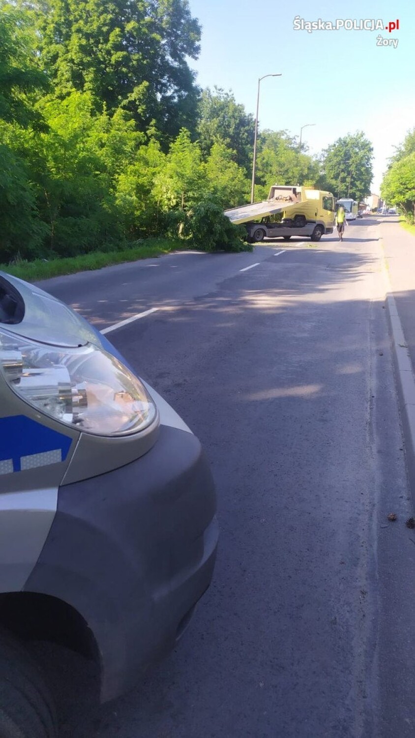 O losie 45-latki, która spowodowała wypadek będzie teraz...