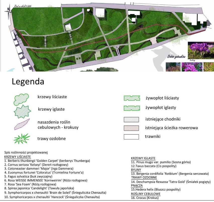Urząd miasta Ustka przedstawił wstępne plany zagospodarowania Parku przy ul. Chopina