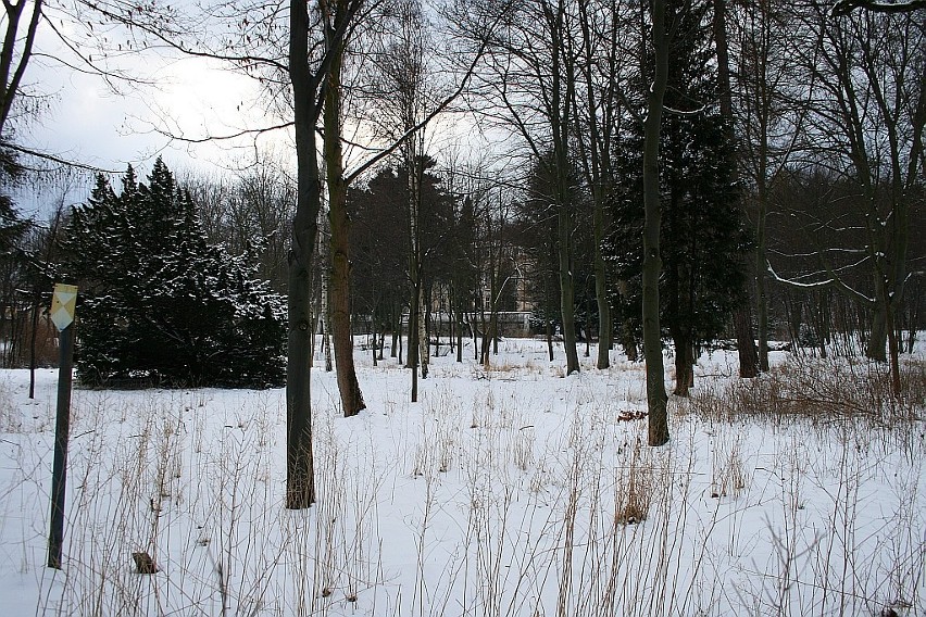 Na terenie Zespołu Parkowo-Pałacowego "dumnie" stoi...