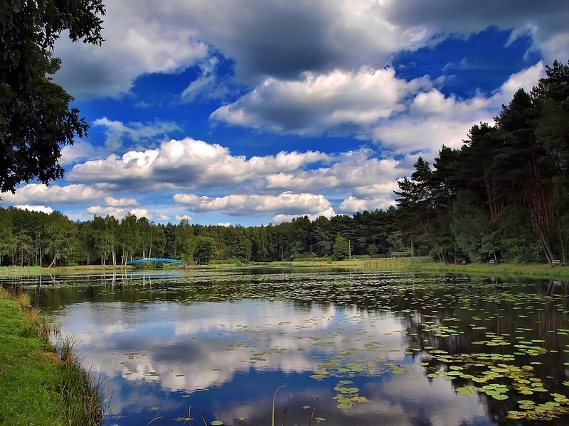 Ziemia tarnogórska - zobacz fotogalerię [Zdjęcia]