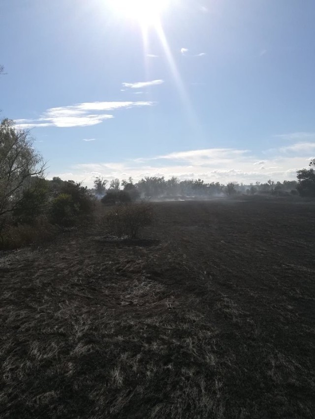 Krajobraz po dogaszeniu pożaru w okolicach Retna, koło Krosna Odrzańskiego.