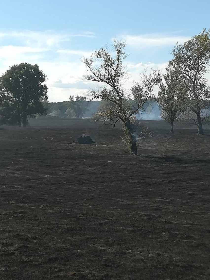 Krajobraz po dogaszeniu pożaru w okolicach Retna, koło...