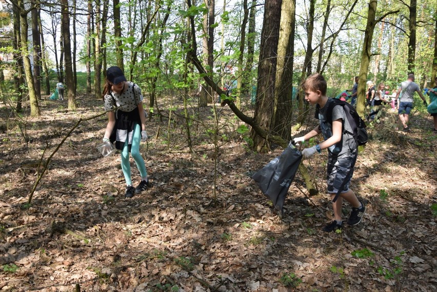 Wielkie sprzątanie lasu przy ul. Chmielnej w Zielonej Górze.