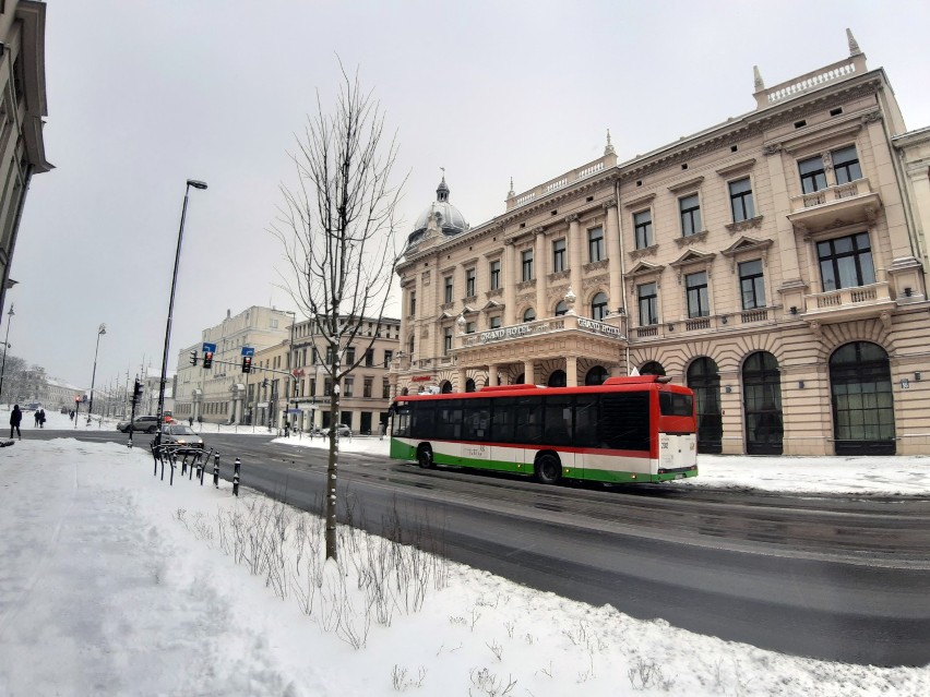 Do Lublina wreszcie zawitała zima. Na takie śnieżne atrakcje czekali mieszkańcy. Zobacz zdjęcia