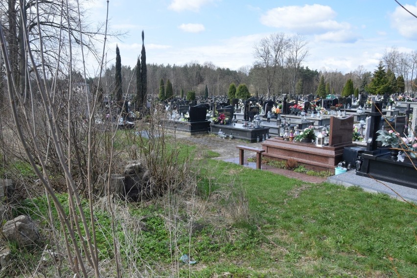 Rozpoczęła się budowa cmentarza komunalnego w Końskich [ZDJĘCIA]