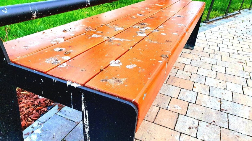 Tak wyglądają ławki w Parku Strzeleckim