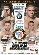 Profesjonalna Liga MMA - PL MMA 43 we Włocławku już wkrótce [wideo]