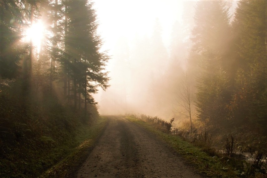 Beskid Sądecki. Sądeckie lasy w jesienno - zimowej szacie. Pogoda wciąż nie może się zdecydować [ZDJĘCIA]