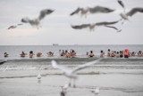 Gdzie morsować nad morzem? Najlepsze miejsca w Trójmieście! Najczęściej wybierane lokalizacje na plażach w Gdańsku, Sopocie oraz Gdyni!