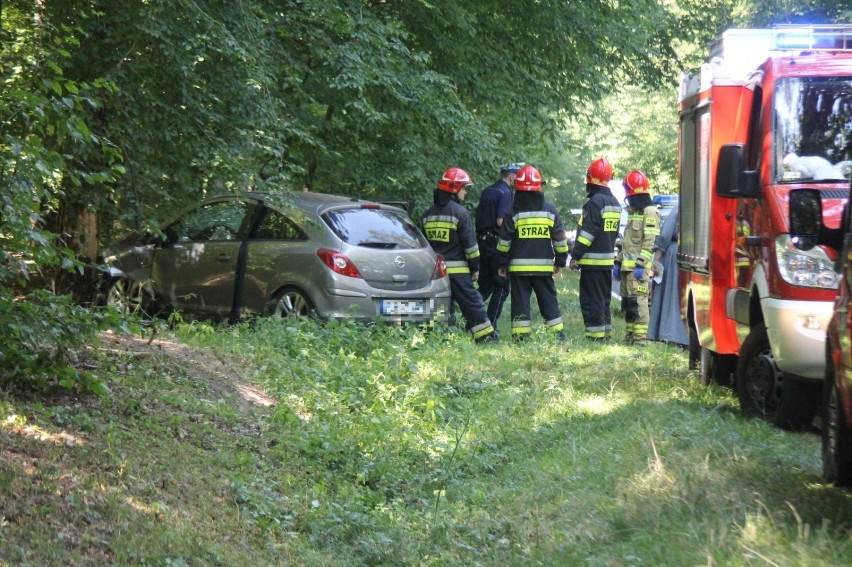 Samochód uderzył w drzewo przy trasie Sulmierzyce-Krotoszyn [ZDJĘCIA]             