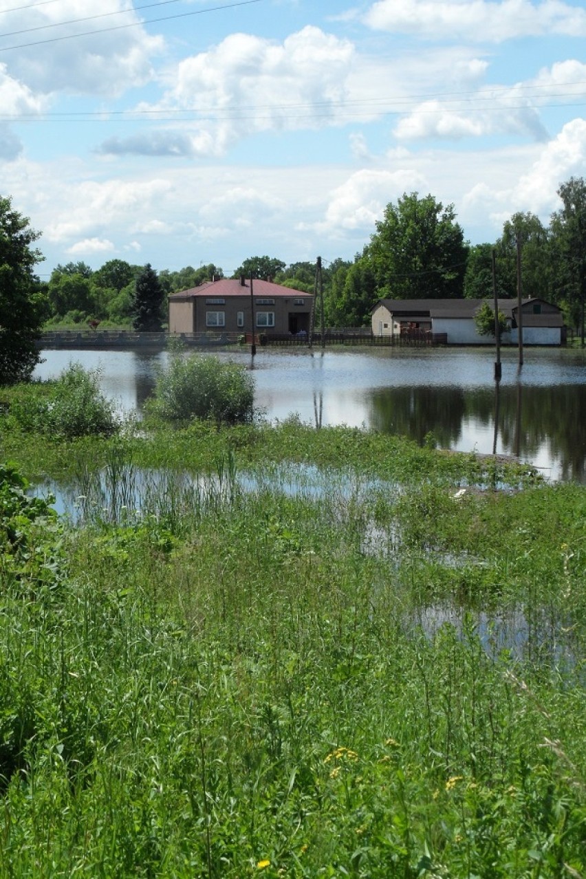 Częstochowa: Powódź 2014 nam nie grozi? Sytuacja na razie jest stabilna [ZDJĘCIA]