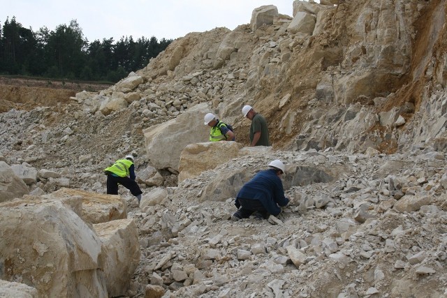 Już niebawem na terenach kamieniołomu wapieni "Owadów - Brzezinki" w gminie Sławno wznowione zostaną prace wykopaliskowe