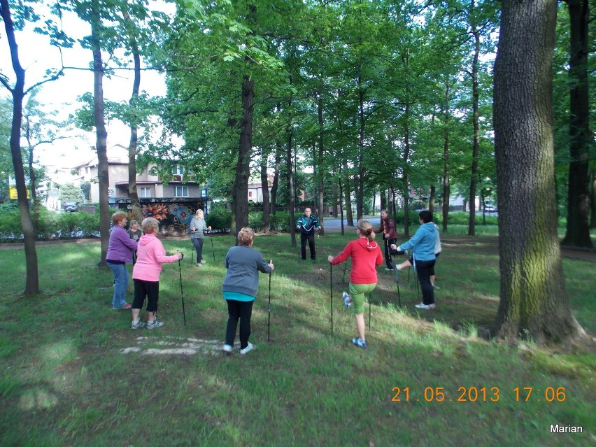 Światowy dzień nordic walking w Rybniku [Zdjęcia]