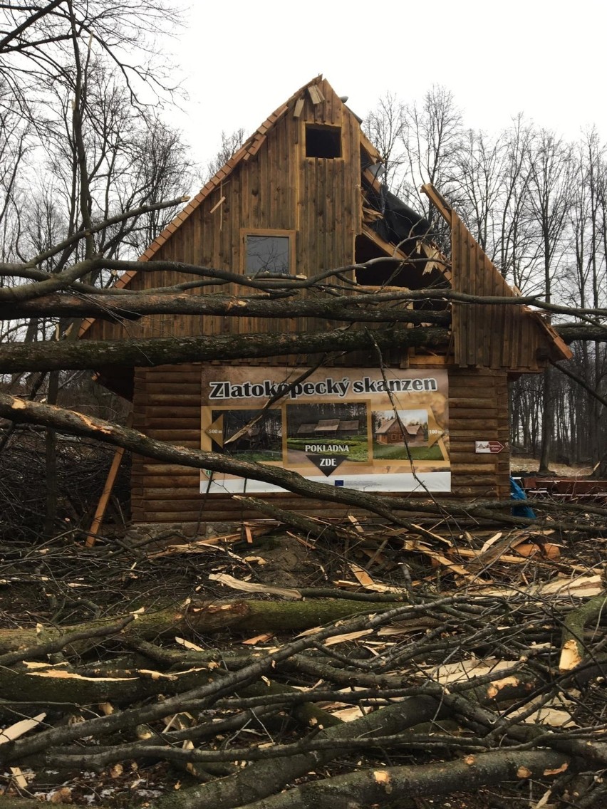 Pokrzywna. Wiatr przewrócił setki drzew. Duże straty w Cichej Dolinie pod Kopą