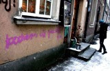 Gdańsk: Pijane studentki malowały graffiti na zabytkach. Teraz żałują &quot;głupiej decyzji&quot; OŚWIADCZENIE