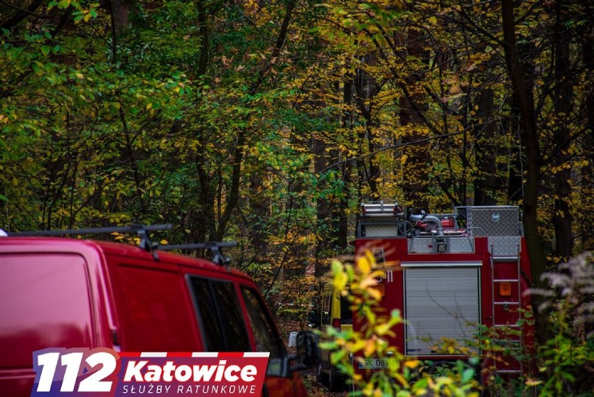 Katowice: Morderstwo w Lesie Murckowskim? W lesie znaleziono zwłoki mężczyzny