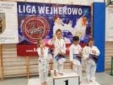 Turniej "Pierwszego kroku" w Wejherowie. Swoje umiejętności sprawdzili zawodnicy Stowarzyszenia Sportów Walki Shotokan i La
