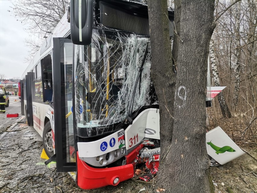 Jastrzębie-Zdrój: autobus uderzył w drzewo, dziewięć osób...