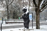 Biała niedziela w Żaganiu z Niżem Brygida! Przeżyliście poranne odśnieżanie auta? 