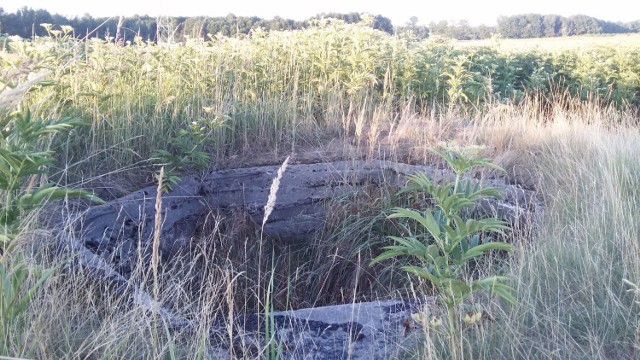 Poslki schron bojowy z 1939 roku w Mikołowie - Śmiłowicach to wyjątkowy obiekt, jedyny w swoim rodzaju na Śląsku