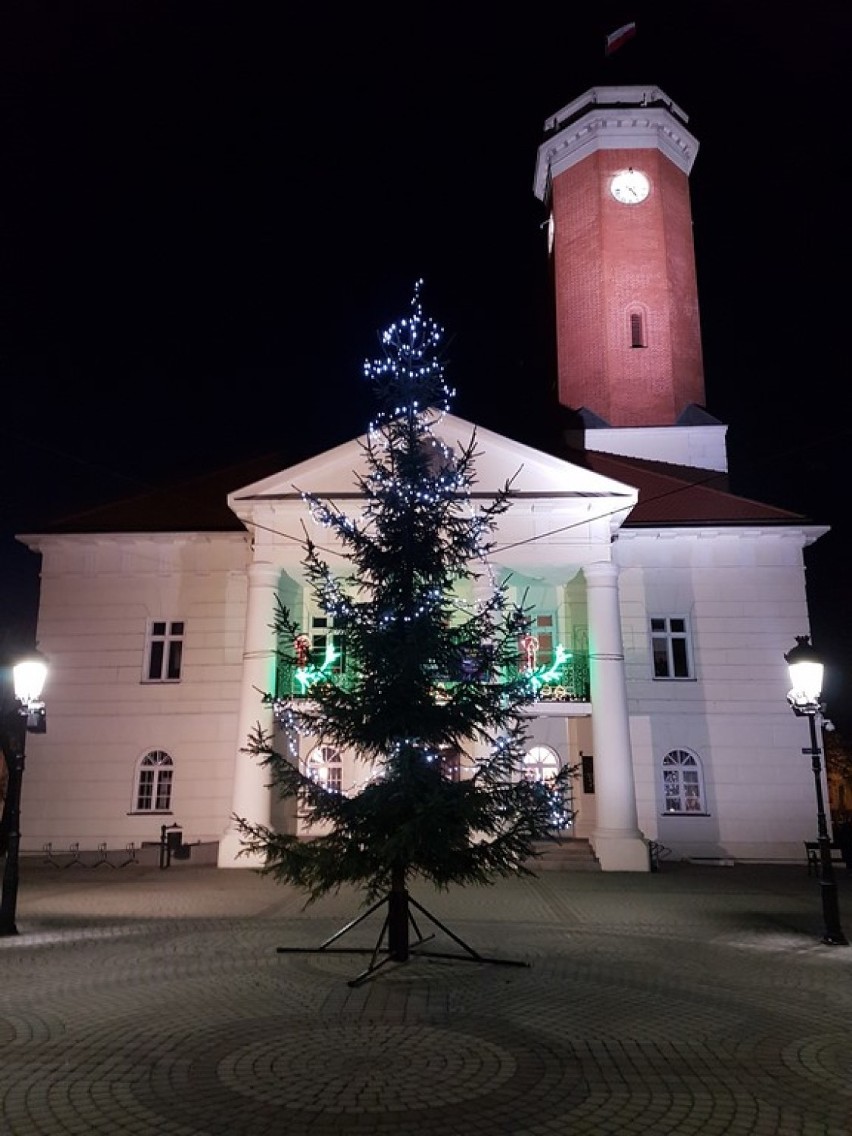 Koło: Przed ratuszem stanęła choinka